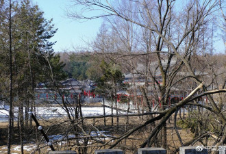 国有林深处藏违建 毁林百亩削山挖湖建私人庄园