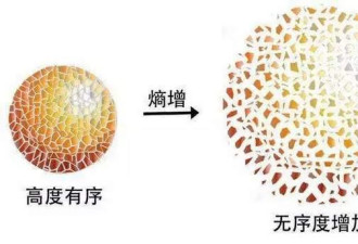 为何房间乱了不用收拾？最科学的解释