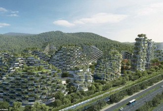 满城绿油油！全球首个垂直森林城市在广西开建