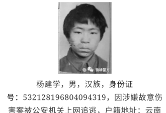 通告上的17岁逃犯是张"娃娃脸"...云南警方回应