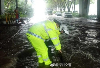 深圳交警暴雨中抓到一条大鱼 网友回复亮了