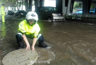 深圳交警暴雨中抓到一条大鱼 网友回复亮了