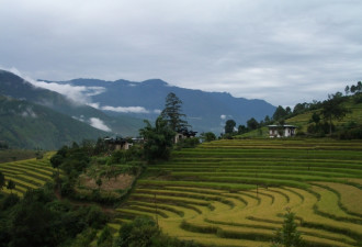 不丹媒体怒斥：印军非法越界阻扰中不边界谈判