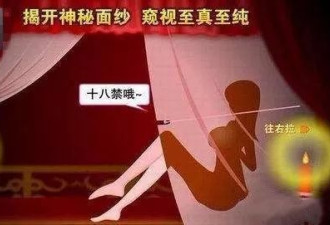 中国高中生开发性教育游戏 因尺度太大玩不了