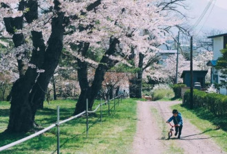 日本夫妇带儿女搬回乡下 住木屋做美食网友点赞