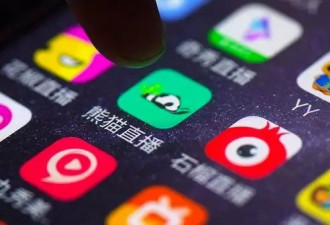 王思聪失声48天，熊猫直播宣布破产了