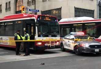 多伦多市中心金融 行人被巴士撞 头部重伤命危