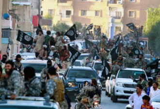 叙利亚政府报告表明将大赦近4万名非法武装分子