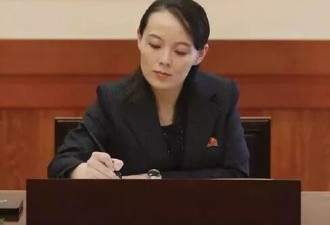 朝最高会议选举:金正恩未入名单胞妹近权力中枢