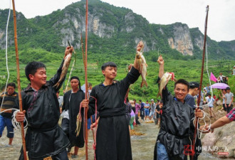 中国人的一天:苗族杀鱼节 一场充满野趣的狂欢