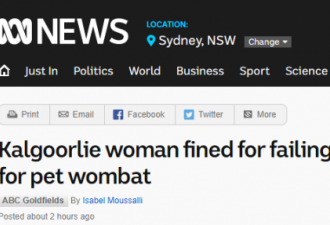 澳洲女子被罚$6000，竟是因为捡了一只考拉！