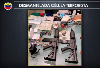 委内政部长证实 瓜伊多助手在反恐行动中被捕