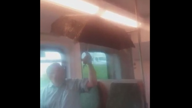 Leaking GO Train