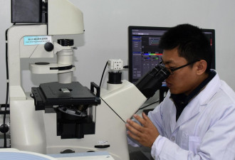 世界首次！中国科学家制备出单层石墨烯纳米带