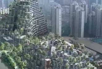 上海现“古巴比伦空中花园” 屋顶种满上千棵树