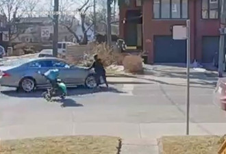 多伦多女子推婴儿车过街险被撞 怒与汽车对峙