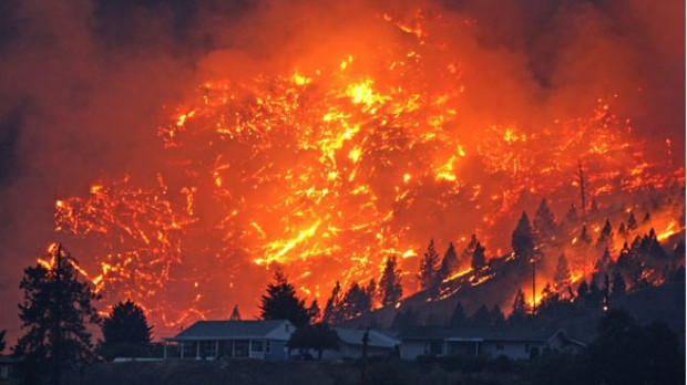“BC fire”的图片搜索结果