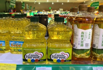 中国再禁油菜籽 网友号召加拿大人吃“爱国油”