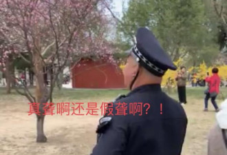 保安霸止不文明赏花：你们这帮老娘们能出去不