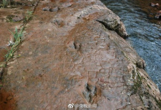 贵州河滩现68枚&quot;怪脚印&quot;竟是亿年前恐龙足迹