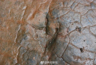 贵州河滩现68枚&quot;怪脚印&quot;竟是亿年前恐龙足迹