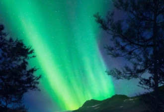 世界最大水下餐厅：3000元一餐，看看都吃啥?