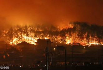韩国东部地区发生大规模山火 已被列为国家灾难
