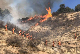 山西沁源森林火灾撤离3600人 大火整体可控