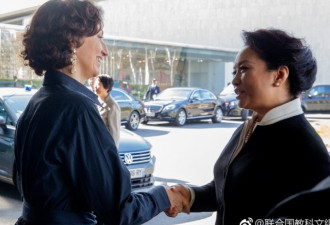 习近平结束访问后，彭丽媛会见联合国女官员