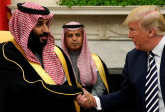 美国：沙特炸也门真可怕 但…自己查吧 要透明
