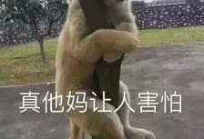 狼狗狗好奇心重引来美洲狮，主人落荒而逃