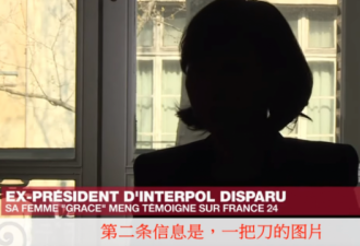 孟宏伟妻电视专访：“肮脏”的政治迫害