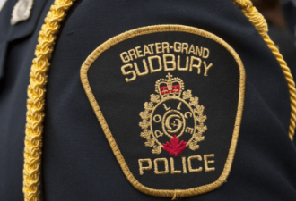 Sudbury 发生坠机事故 飞行员和狗狗均无恙
