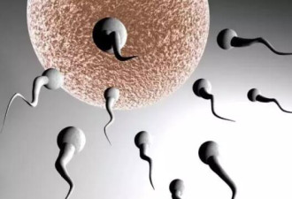 北美男性精子数量40年减半 原因在哪里？