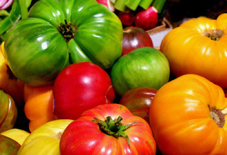 养花种草系列122：美味的祖传番茄