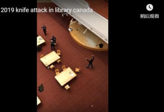男子多伦多央街图书馆内挥舞尖刀 被电击枪制服