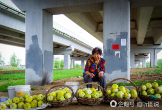 老两口靠卖香瓜赚钱救命 求过路司机别偷了