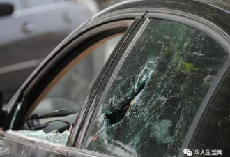 $950以下警察不管，害无数华人遭偷窃抢劫！