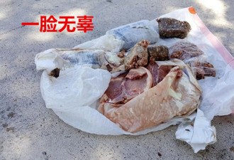 轰隆一声!天上掉下5大包猪肉 屋主:还以为打雷