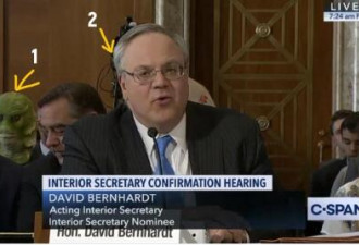 “水怪”出现在美国参议院的听证会上了