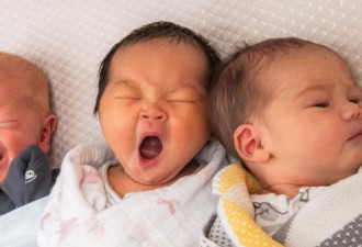 维州生育率稳步下降！去年新生儿不到8万