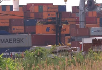 蒙特利尔港集装箱偷渡4男子提出避难申请