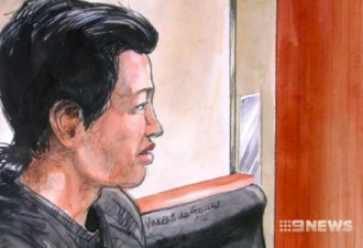 悉尼华男撞死女孩后逃逸！被判监禁28个月！