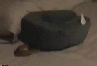 恐怖！澳女一觉醒来发现身上躺了一条巨蛇