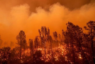 韩国森林大火延烧250公顷 文在寅主持紧急会议