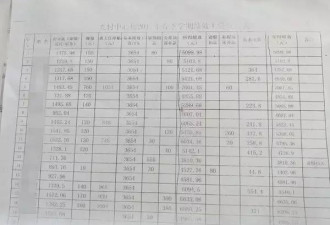 海南一所小学竟配16个“官” 工资表曝光