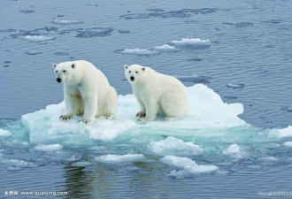全球变暖加剧，北极冻土解冻，影响极其巨大