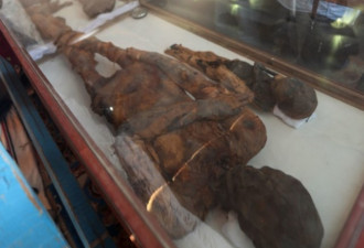 埃及新发现古墓 内有老鼠木乃伊