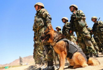 新疆某地多兵种联合演练 六位一体歼灭暴恐分子