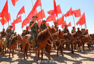 新疆某地多兵种联合演练 六位一体歼灭暴恐分子